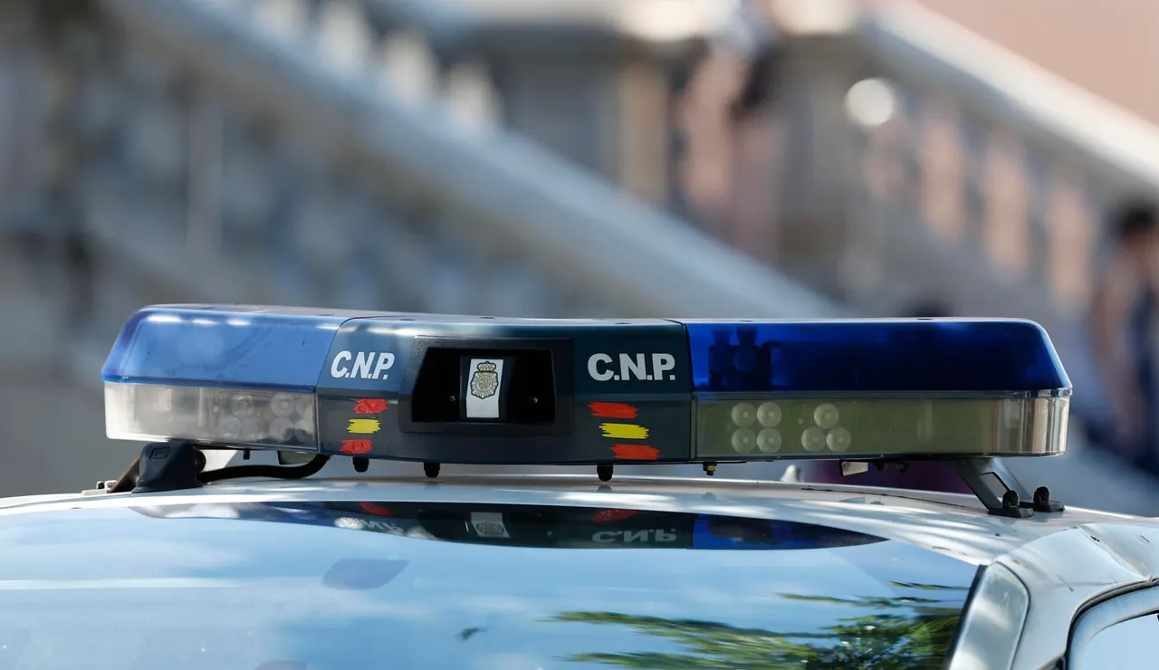 Imagen de archivo de las sirenas de un coche del Cuerpo Nacional de Policía