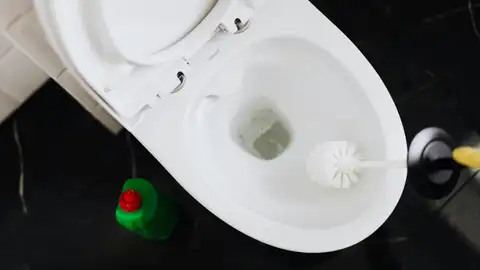 Limpiando el váter Limpiando el váter