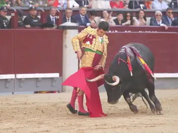 El rugido de las Ventas con Morante no fue escuchado por el presidente: su mejor faena en Madrid no ha tenido trofeo El rugido de las Ventas con Morante no fue escuchado por el presidente: su mejor faena en Madrid no ha tenido trofeo