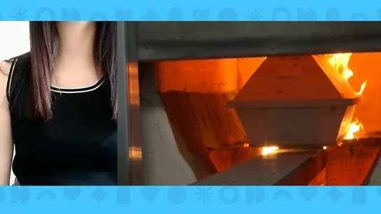 Incinerado por error. Incinerado por error.