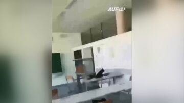 El momento de los disparos en el tiroteo de Austria