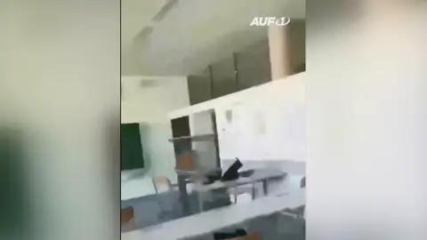 El momento de los disparos en el tiroteo de Austria El momento de los disparos en el tiroteo de Austria