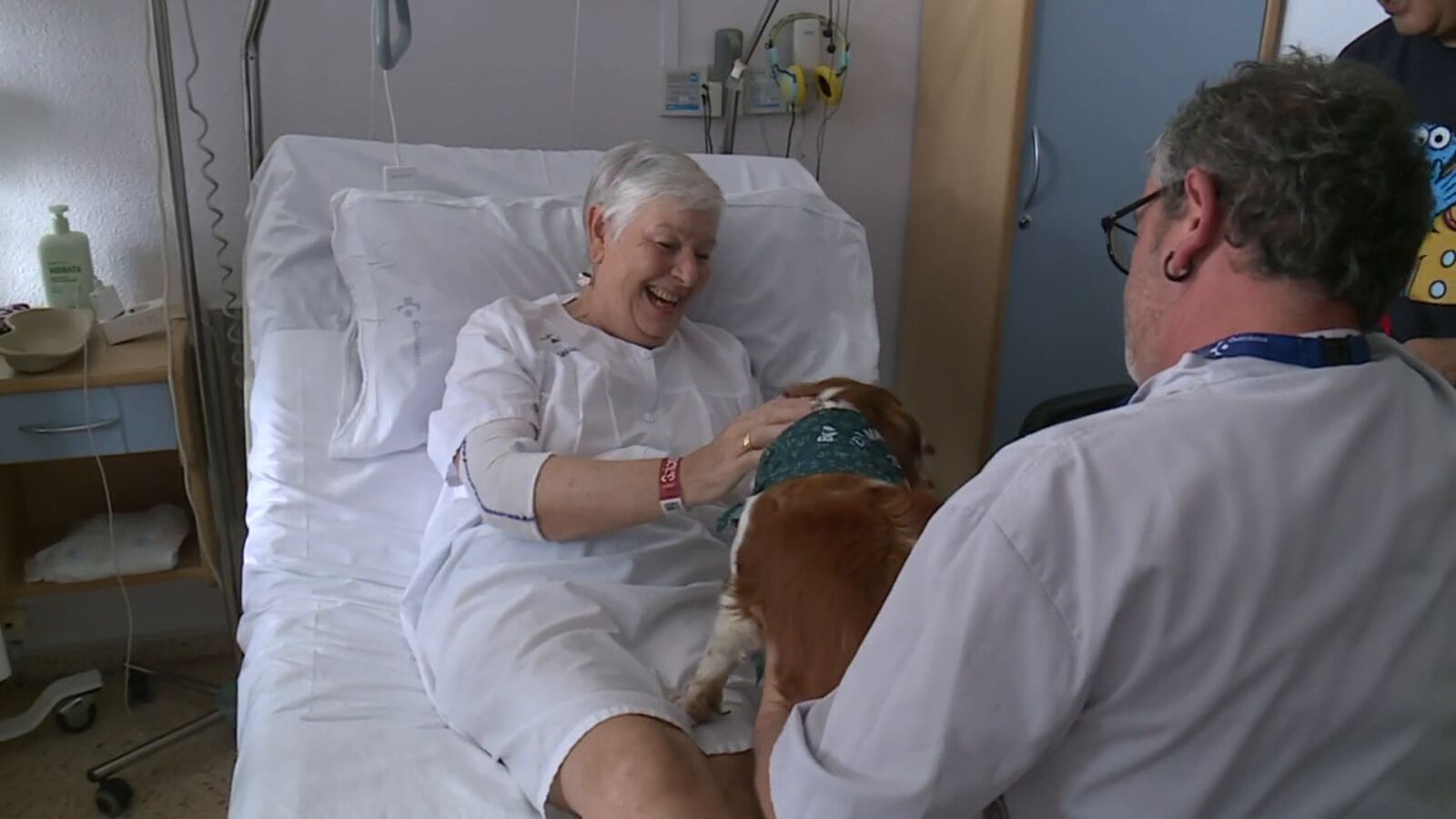 Los hospitales del País Vasco permitirán que los perros visiten a los pacientes ingresados 