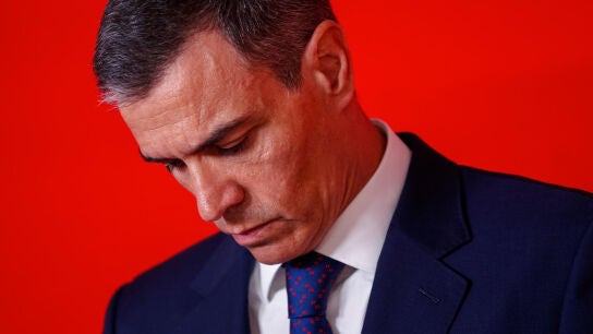 Pedro S&aacute;nchez
