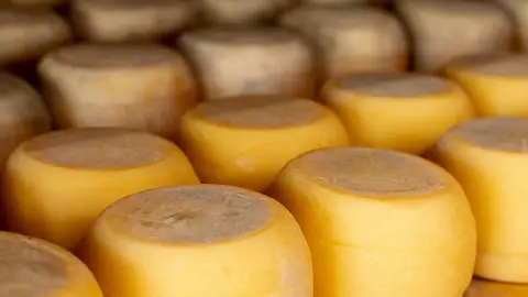 Variedad de ruedas de queso rústico Variedad de ruedas de queso rústico