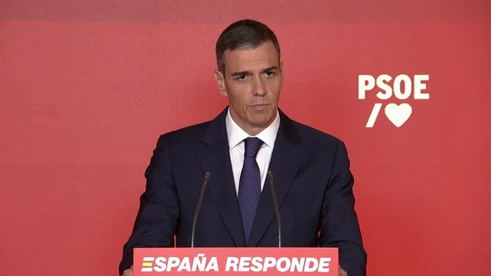 Sánchez preside la ejecutiva federal del PSOE, la primera desde la decisión de Santos Cerdán Sánchez preside la ejecutiva federal del PSOE, la primera desde la decisión de Santos Cerdán
