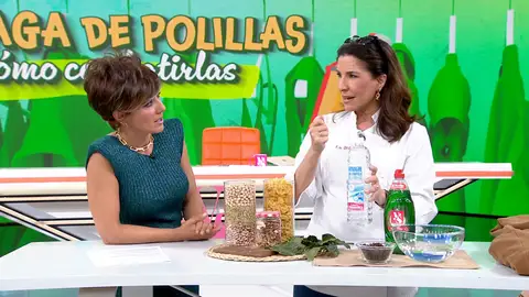 Ordenatriz Ordenatriz