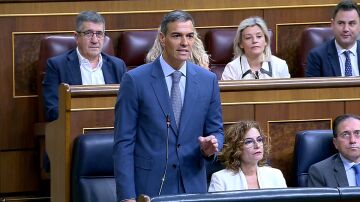 Pedro Sánchez en el Congreso de los Diputados