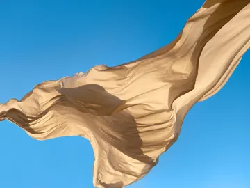 Beige flag Beige flag