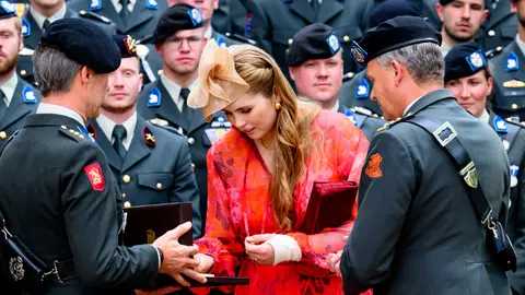 Amalia de Holanda, con el brazo vendado en un acto oficial Amalia de Holanda, con el brazo vendado en un acto oficial