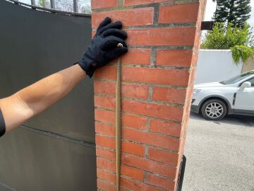 Serpiente venenosa atrapada en una vivienda de Algeciras