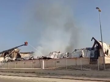Las llamas provocan el colapso de una empresa en Algemesí, Valencia