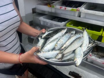 Imagen de pescado