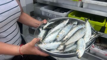 Imagen de pescado