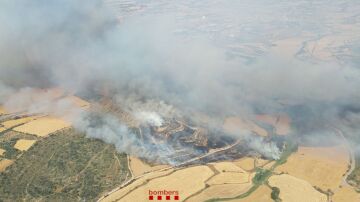 Un incendio en Granyena de Segarra obliga a confinar a unas 10.000 personas de cuatro pueblos