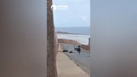 Un caballo cae y se parte una pierna durante una carrera Un caballo cae y se parte una pierna durante una carrera