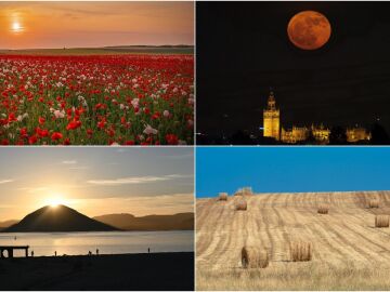 Mejores fotos de junio
