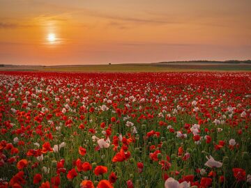 Atardecer en Albacete