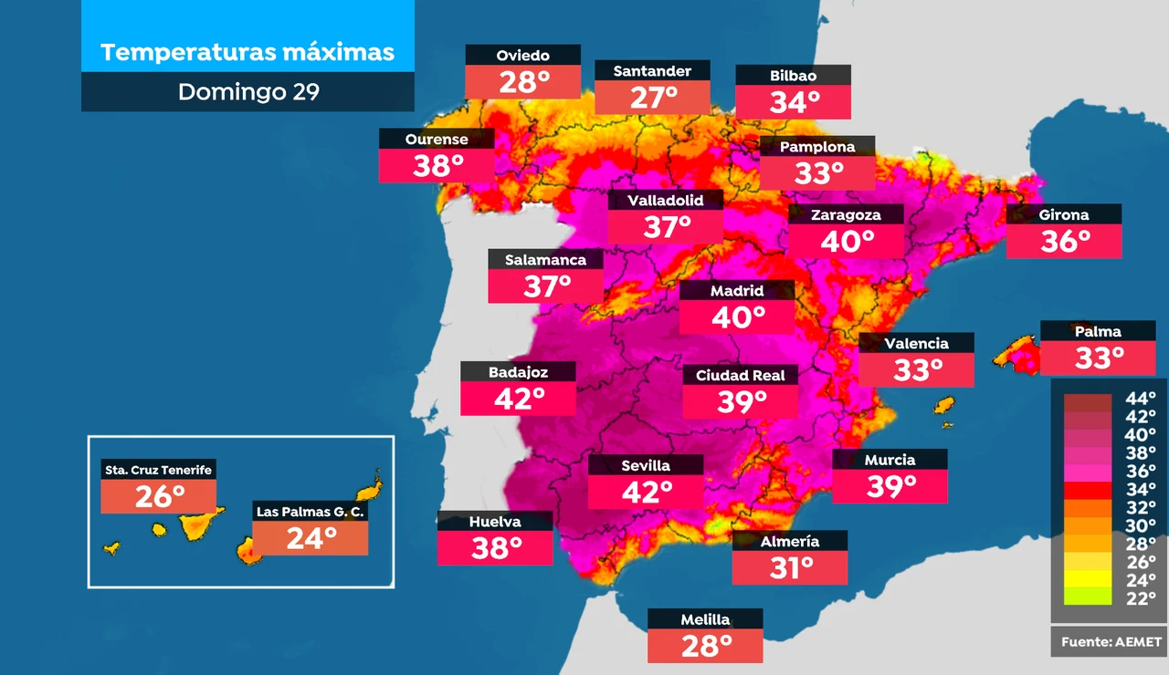 Previsión Mercedes Martín