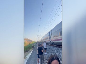 Caos trenes