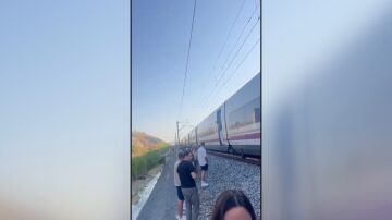 Caos trenes