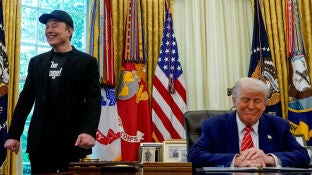 &iquest;Ves a Elon Musk como presidente de Estados Unidos?