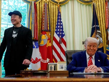 ¿Ves a Elon Musk como presidente de Estados Unidos?