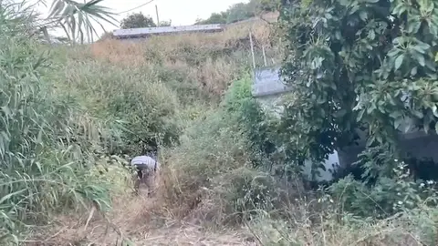 Pirómano Canarias Pirómano Canarias