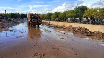 La Guardia Civil destaca "la inexistencia de avisos" de la CHJ sobre el barranco del Poyo durante dos horas el 29O