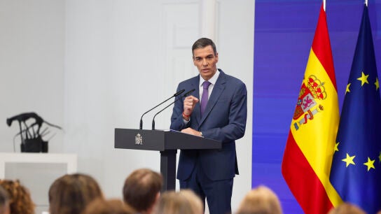 Pedro S&aacute;nchez
