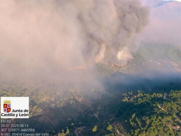 Incendio en Ávila
