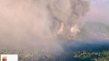 Incendio en Ávila