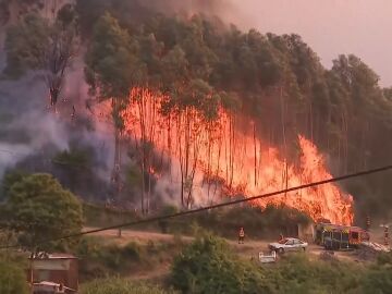 Incendio Portugal 2
