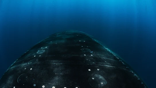 El Kremlin advierte a EEUU tras el despliegue de submarinos nucleares: "En una guerra nuclear no puede haber vencedores" Imagen de un submarino nuclear