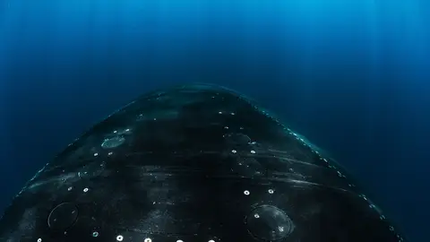 El Kremlin advierte a EEUU tras el despliegue de submarinos nucleares: "En una guerra nuclear no puede haber vencedores" Imagen de un submarino nuclear