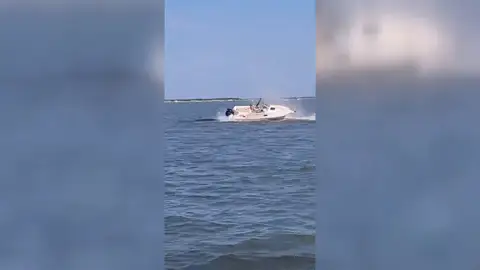 Muere una ballena tras chocar varias veces contra una embarcación Muere una ballena tras chocar varias veces contra una embarcación