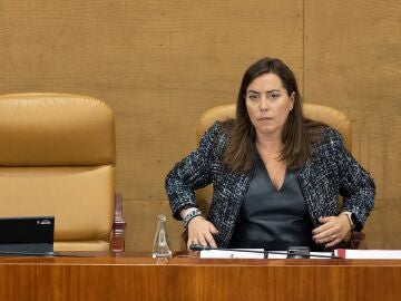 Ana Millán