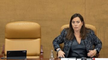 Ana Millán