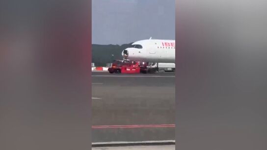 Avi&oacute;n choque p&aacute;jaro