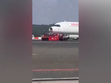 Avión choque pájaro