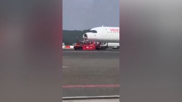 Avión choque pájaro