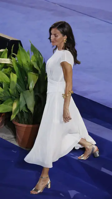 El vestido de la reina Letizia El vestido de la reina Letizia