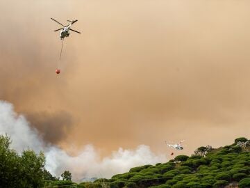 Aeronaves en el incendio de La Peña, en Tarifa, Cádiz
