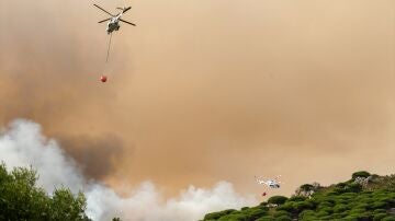 Aeronaves en el incendio de La Peña, en Tarifa, Cádiz