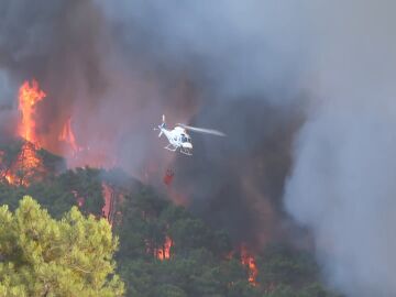Activan el nivel de emergencia tipo 2 al incendio de Ávila: desalojos y circulación de trenes interrumpida entre Madrid y Ávila