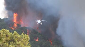 Activan el nivel de emergencia tipo 2 al incendio de Ávila: desalojos y circulación de trenes interrumpida entre Madrid y Ávila