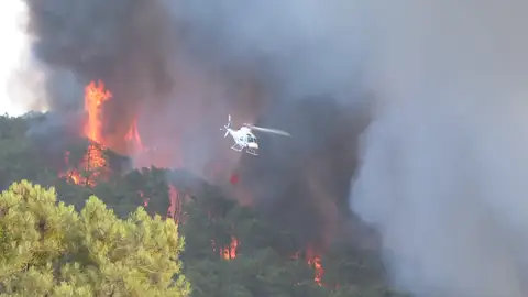 Activan el nivel de emergencia tipo 2 al incendio de Ávila: desalojos y circulación de trenes interrumpida entre Madrid y Ávila Activan el nivel de emergencia tipo 2 al incendio de Ávila: desalojos y circulación de trenes interrumpida entre Madrid y Ávila