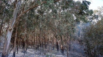 Galicia, contra el fuego: 