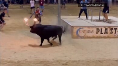 Vídeo: Estas son las imágenes del momento en el que un toro deja herido a un embolador en Port de Sagunt