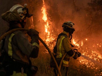 abores de extinción del incendio forestal en As Neves